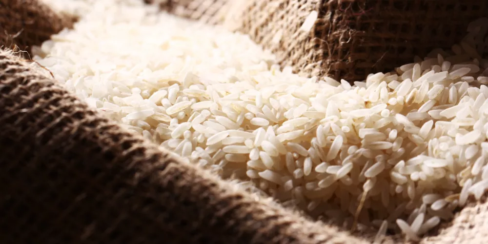 الغذاء والدواء تتابع شكوى حول وجود ديدان داخل كيس أرز
