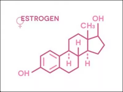 المادة التي تُعد نقطة البداية في إنتاج هرمونات الإستروجين والتستوستيرون هي