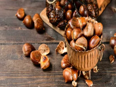 فوائد الكستناء
