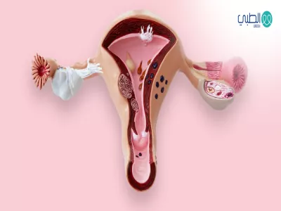 लड़कियों के लिए योनि कवक का पेटीन पेरेग्रीनाज़ियोन एक्लेसिएस्टिको उपचार लावा लाभार्थी का मार्गदर्शन