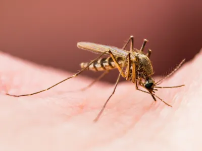 دليل الوقاية من الملاريا: احم نفسك وعائلتك