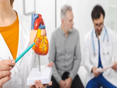 أضرار البلاستيك على القلب