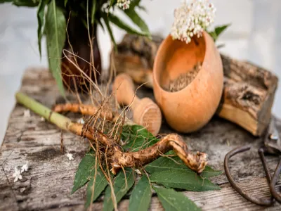 فوائد الأشواغندا للرجال