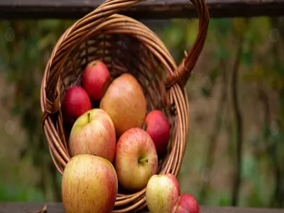 أفضل وقت لتناول التفاح