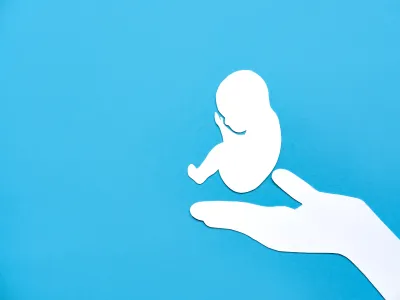 كيف يكون شكل الجنين المقعدي؟