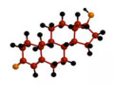 أثر هرمون التيستوستيرون على الشحوم 