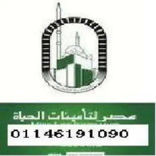 شركة مصر للتامين اخصائي في 