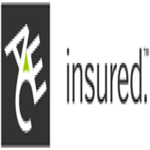 شركة ايس للتامين مصر شمم اخصائي في 