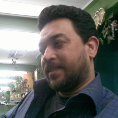 amr hamed