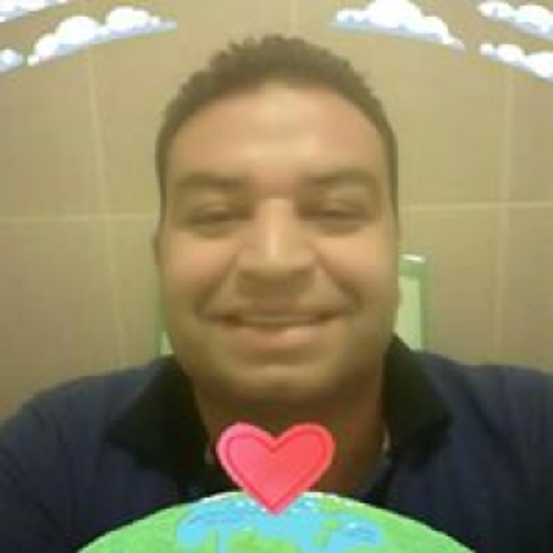محمود السيد