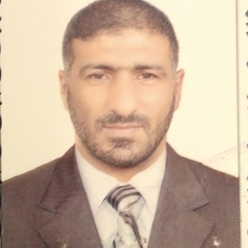 صفاء  الحسن