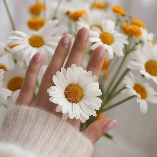 Enas Hamdo