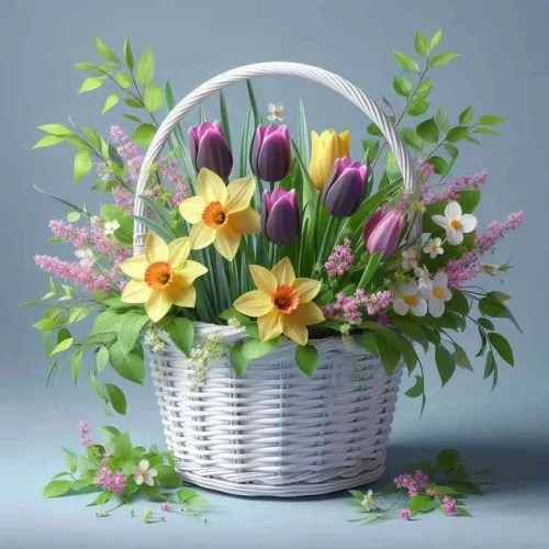 د. نورا حماده محمد