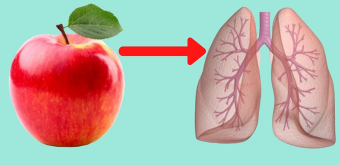 افضل غذاء للرئتين: دليلك الشامل لتحسين صحة الرئة