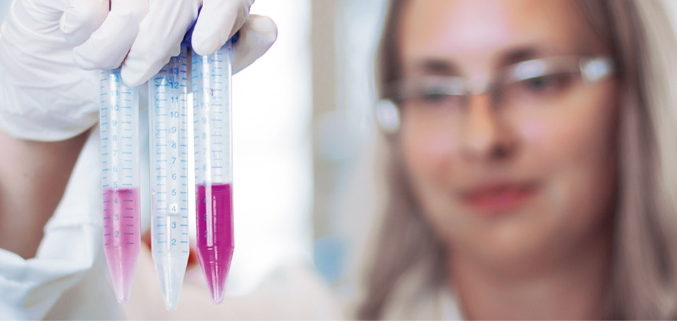 الدراسات داخل الجسم وخارج الجسم في المختبر