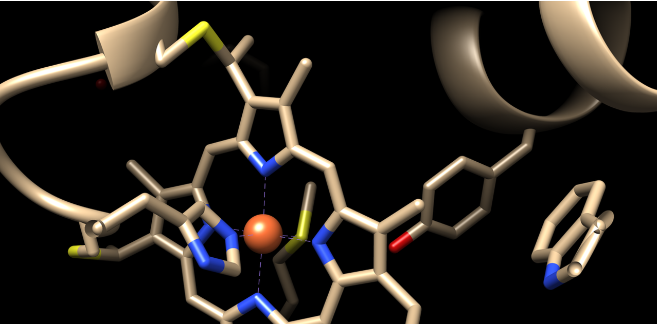 سيتوكروم ب 450