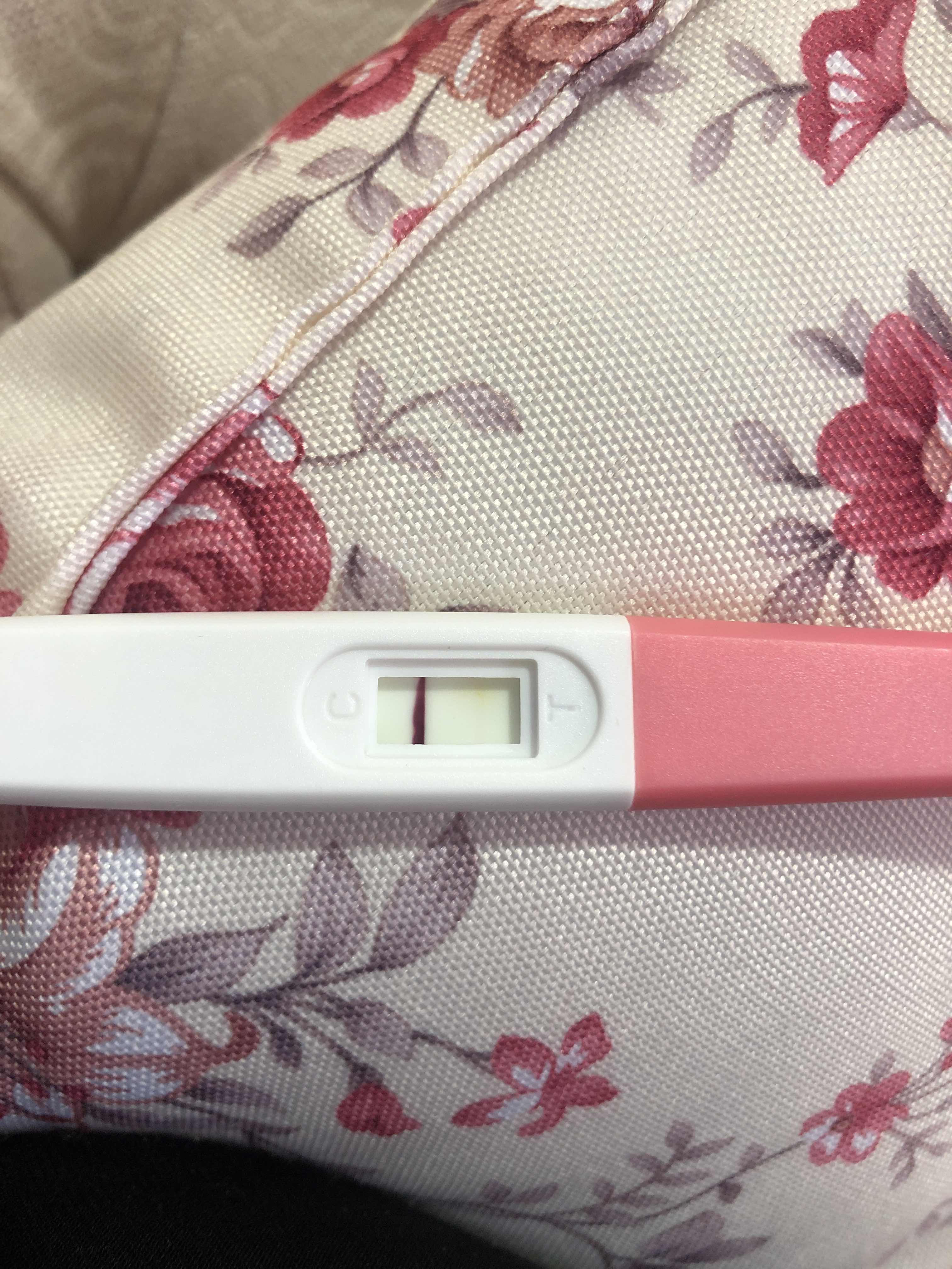 D70F7EB6-33CC-4309-894E-6BAFA84561D5