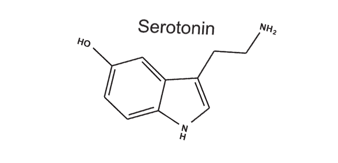 متلازمة السيروتونين