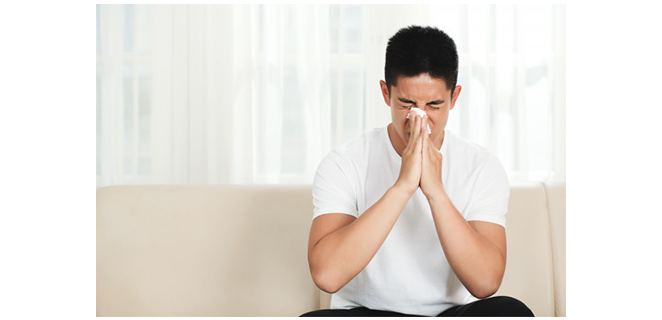 مسببات التحسس الداخلية