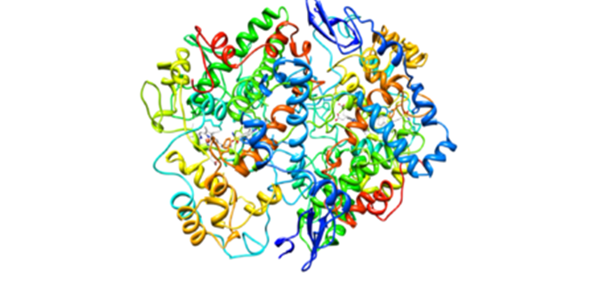 انزيمات الاكسدة الحلقية