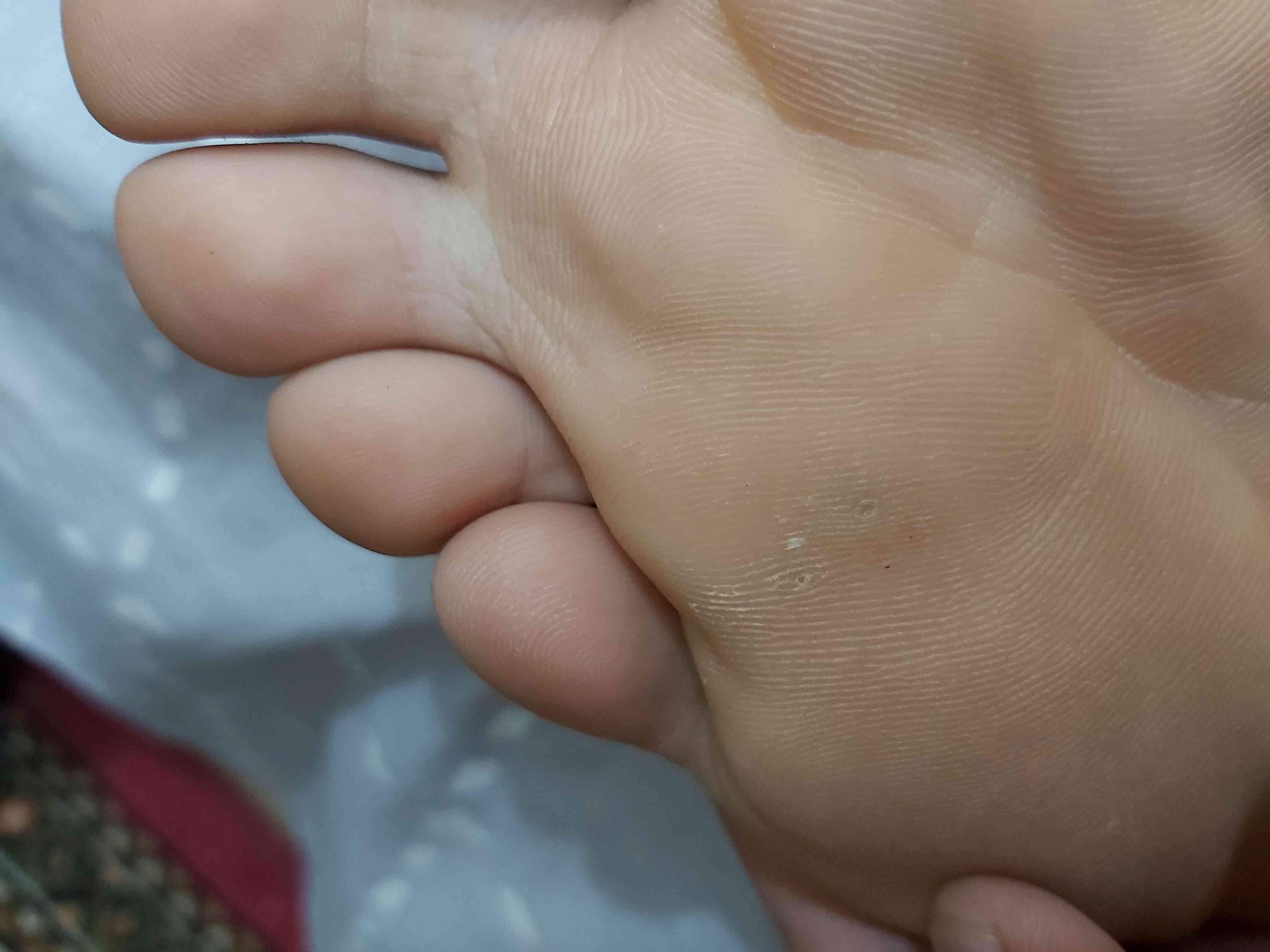 9e192f82-54b3-495e-b8e2-0d420ab638c6