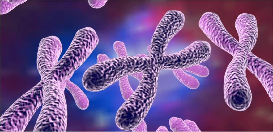 مرتبط بالجنس