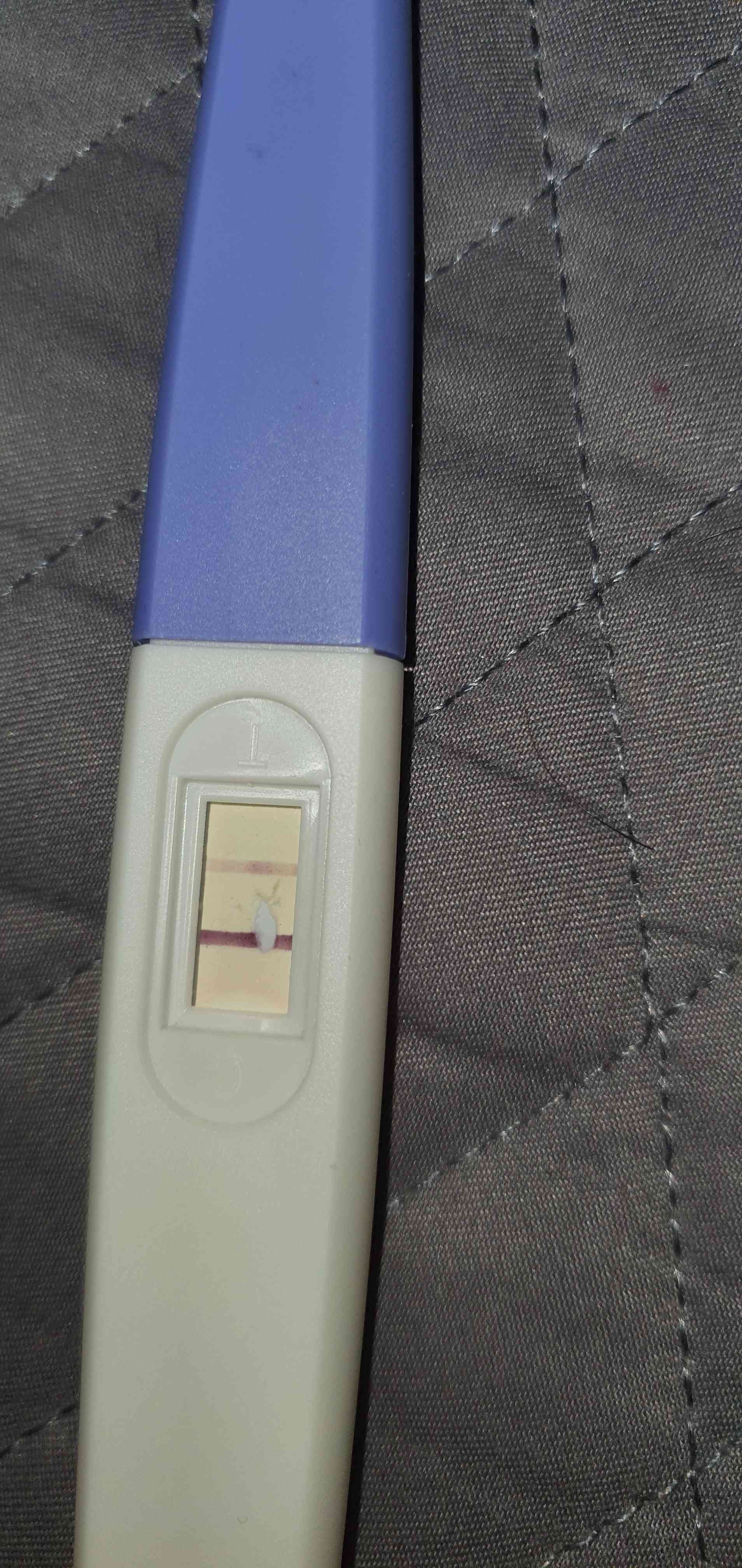 3a4a851f-de98-400a-ac78-7d6f4cd98ab4