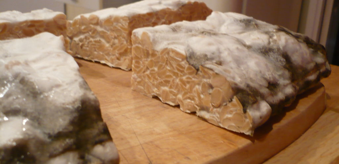 الصويا المتخمرة