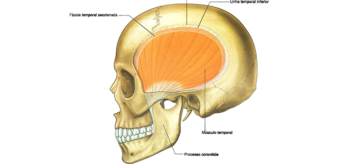 التهاب صخرة الخشاء