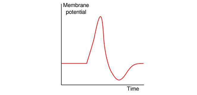ازالة الاستقطاب