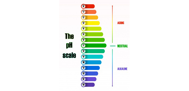 القلاء الايضي