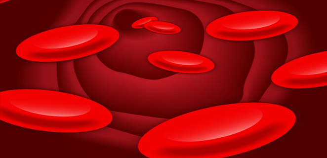 كثرة الشبكيات