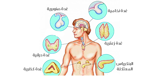 اضطراب الغدد الصماء