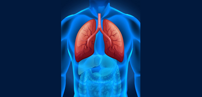 التهاب الرغامى