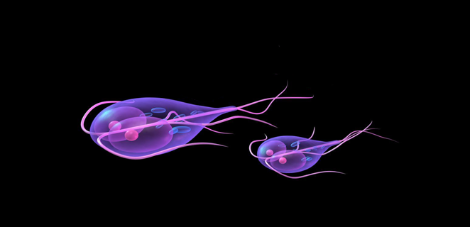 داء الجيارديات