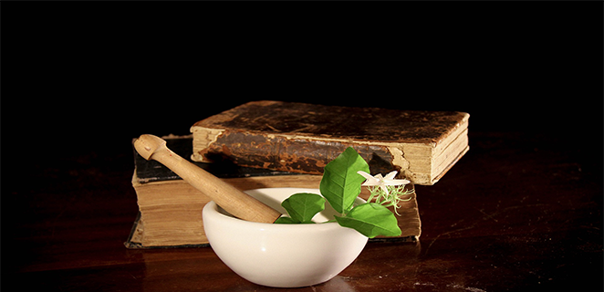 علم النبات الطبي