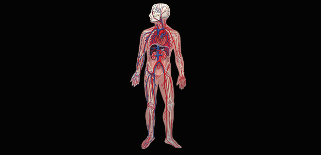 متلازمة الانفخاخ المابضية