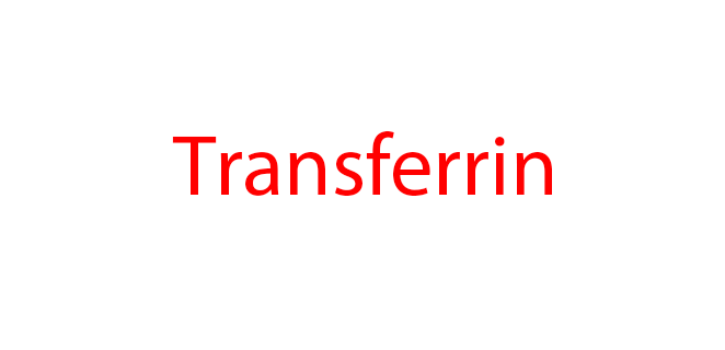 ترانسفيرين