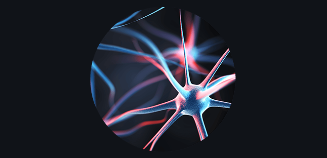 ا حصار جنبي الفقار