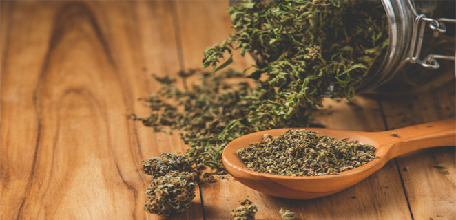 انسمام بالحشيش