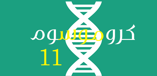 متلازمة بيكوث فيدمان