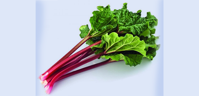 جذورالراوند المتلوي السينيكية