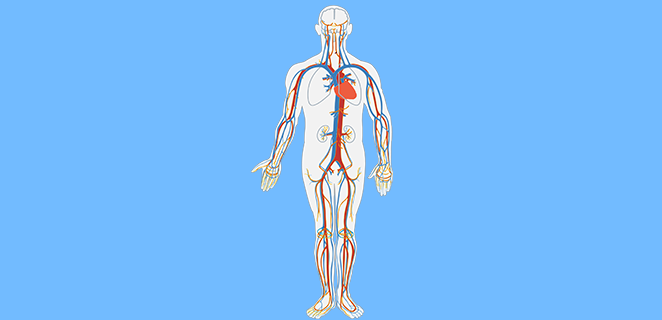 توسع الشريان