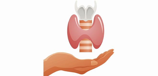 موجه للدرقية