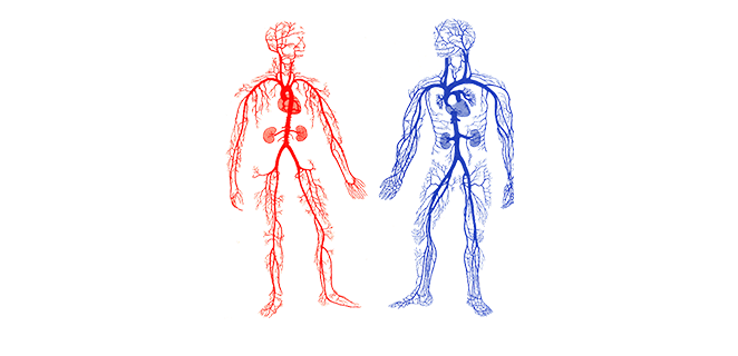 احتقان وريدي