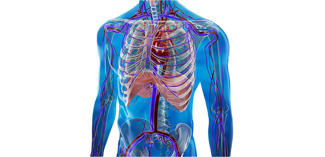 متلازمة الاختلاس تحت الترقوي