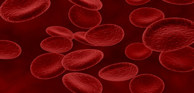 اجسام هول جولي