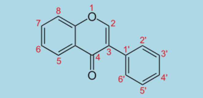 ايزوفلافون