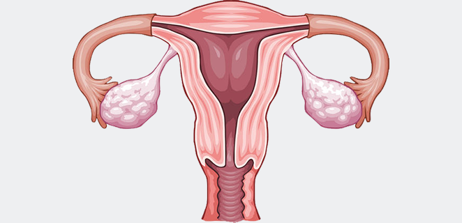 مرحلة جريبية