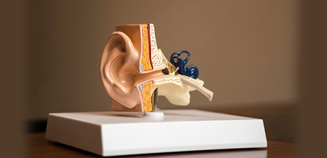 ورم دموي اذني